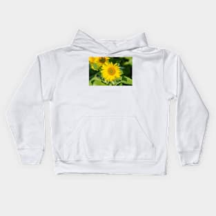 The sunflower Kids Hoodie